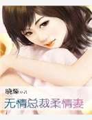 無情總裁柔情妻
